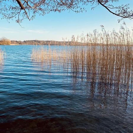 Landhaus Am See App. 2 Ponitz am See エクステリア 写真