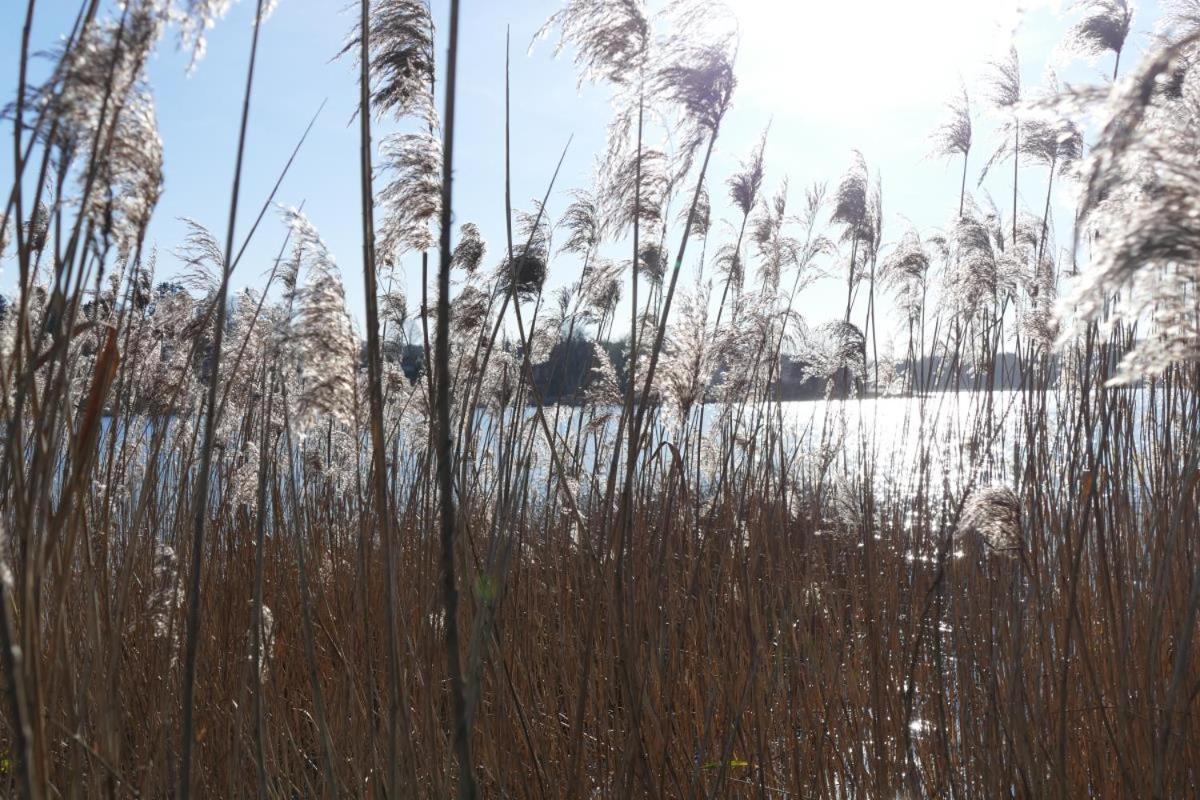 Landhaus Am See App. 2 Ponitz am See エクステリア 写真