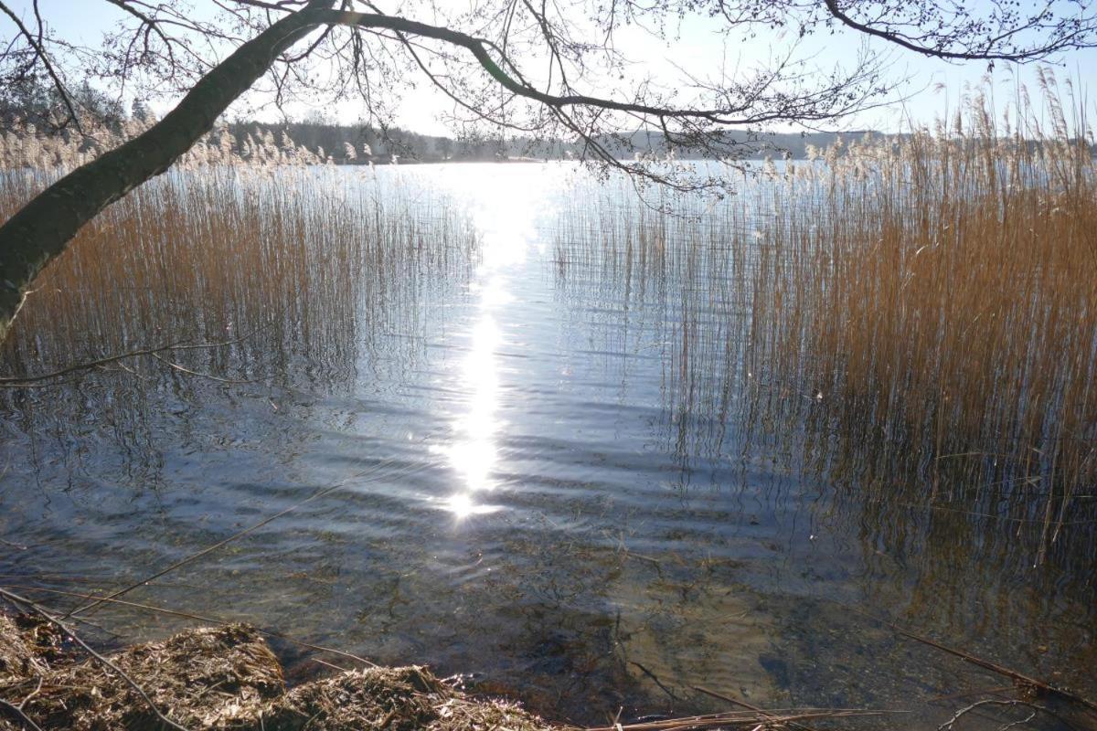 Landhaus Am See App. 2 Ponitz am See エクステリア 写真