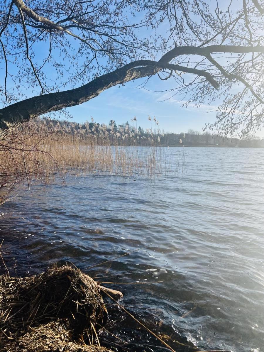 Landhaus Am See App. 2 Ponitz am See エクステリア 写真