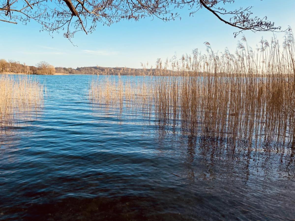Landhaus Am See App. 2 Ponitz am See エクステリア 写真